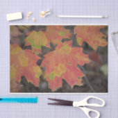 Herbstleaves Seidenpapier (Handwerk)