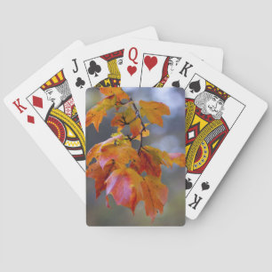 Herbstleaves Spielkarten