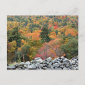 Herbstleaves Steinmauer Personalisiert Postkarte (Vorderseite)