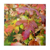 "Herbstleaves" Tile/Trivet Fliese (Vorderseite)