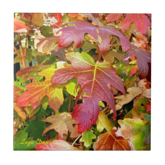 "Herbstleaves" Tile/Trivet Fliese (Vorderseite)