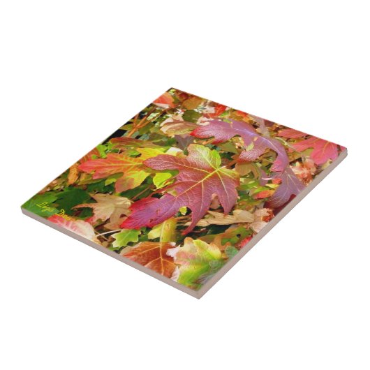 "Herbstleaves" Tile/Trivet Fliese (Seite)
