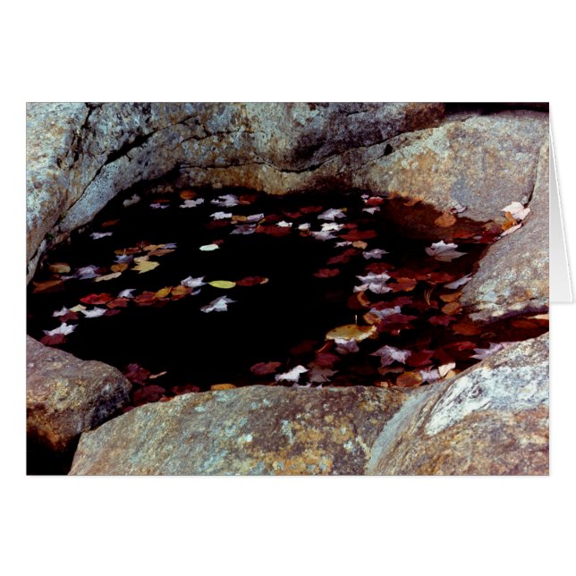 Herbstleere in einer Poolkarte (Vorderseite (Horizontal))