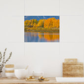 Herbstlich gefärbte Espen Poster (Küche)