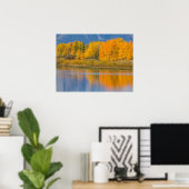 Herbstlich gefärbte Espen Poster (Heimbüro)