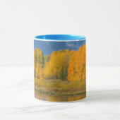 Herbstlich gefärbte Espen Tasse (Zentrum)