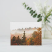 Herbstliche Adirondacks Bäume Landschaft Postkarte (Stehend Vorderseite)