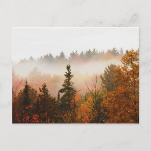 Herbstliche Adirondacks Bäume Landschaft Postkarte (Vorderseite)