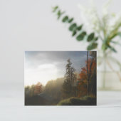 Herbstliche Adirondacks Bäume Landschaft Postkarte (Stehend Vorderseite)