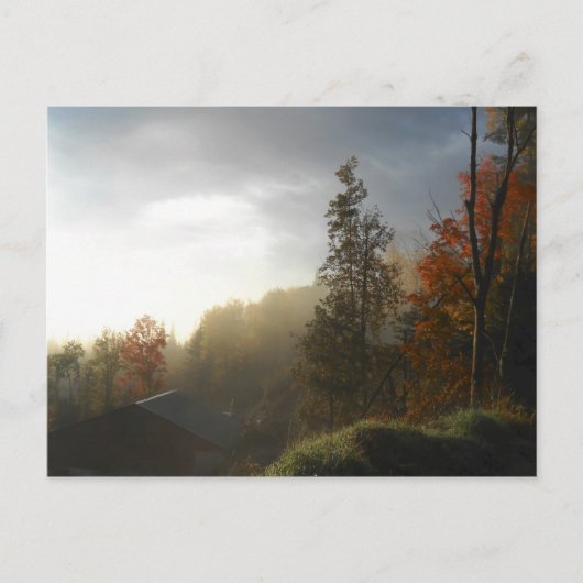 Herbstliche Adirondacks Bäume Landschaft Postkarte (Vorderseite)