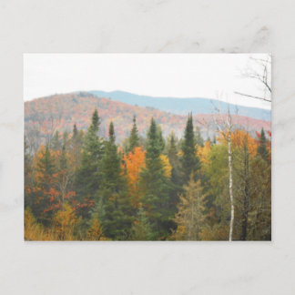 Herbstliche Adirondacks Bäume Landschaft Postkarte