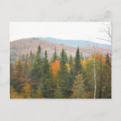 Herbstliche Adirondacks Bäume Landschaft Postkarte (Vorderseite)