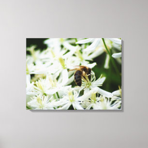 Herbstliche Ansammlung Leinwanddruck