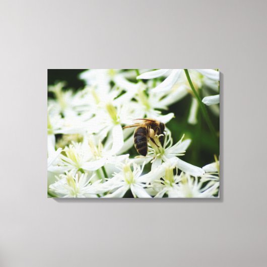 Herbstliche Ansammlung Leinwanddruck (Vorderseite)