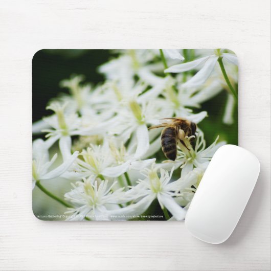 Herbstliche Ansammlung Mousepad (Mit Mouse)