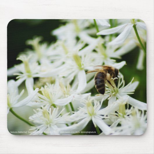 Herbstliche Ansammlung Mousepad (Vorne)