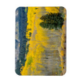 Herbstliche Aspekte im Ruby-Bereich Magnet (Vertikal)