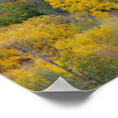 Herbstliche Aspekte im Ruby-Bereich Poster (Ecke)
