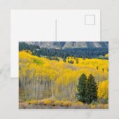 Herbstliche Aspekte im Ruby-Bereich Postkarte (Vorne/Hinten)