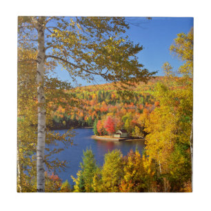 Herbstliche Baumlandschaft, Maine Fliese