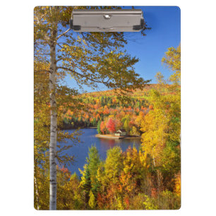 Herbstliche Baumlandschaft, Maine Klemmbrett