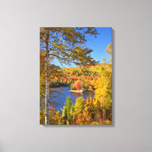 Herbstliche Baumlandschaft, Maine Leinwanddruck