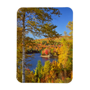 Herbstliche Baumlandschaft, Maine Magnet