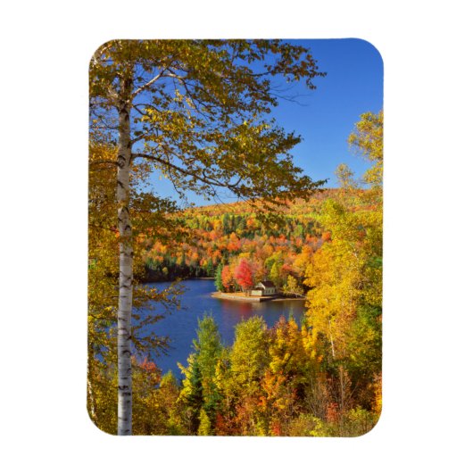 Herbstliche Baumlandschaft, Maine Magnet (Vertikal)