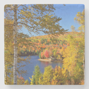 Herbstliche Baumlandschaft, Maine Steinuntersetzer
