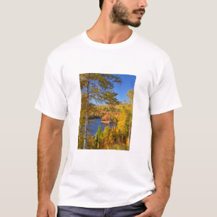 Herbstliche Baumlandschaft, Maine T-Shirt