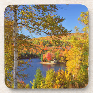 Herbstliche Baumlandschaft, Maine Untersetzer