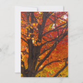 Herbstliche Blätter von gelben und orangefarbenen  Einladung (Rückseite)