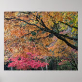 Herbstliche Blattfarben Botanisch Poster (Vorne)