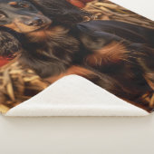 Herbstliche Dackel Sherpadecke (3/4)