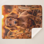 Herbstliche Dackel Sherpadecke (Vorderseite (Horizontal))