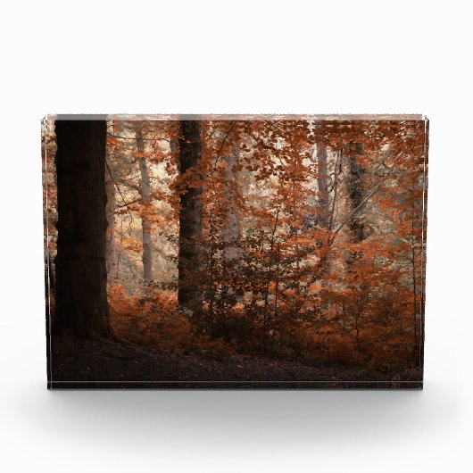 Herbstliche Dämmerung Fotoblock (Vorderseite)