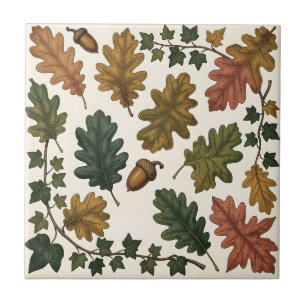 Herbstliche Eichenblätter Eichel Efeu Botanische S Fliese