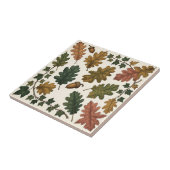 Herbstliche Eichenblätter Eichel Efeu Botanische S Fliese (Seite)