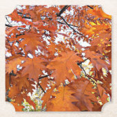 Herbstliche Eichenlaub-Blumen Untersetzer (Vorderseite)
