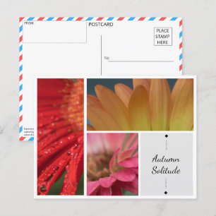 Herbstliche Einsamkeit - Blumenwasser-Droplets Pos Postkarte
