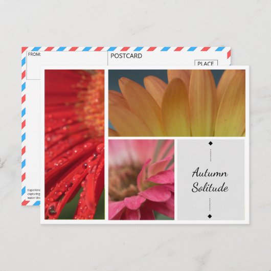 Herbstliche Einsamkeit - Blumenwasser-Droplets Pos Postkarte (Vorne/Hinten)