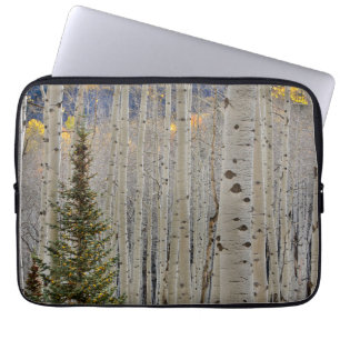 Herbstliche Espenhaine Rocky Mountains Colorado Laptopschutzhülle
