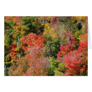 Herbstliche farbenfrohe Naturfotografie am Hang