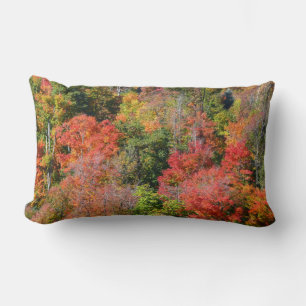 Herbstliche farbenfrohe Naturfotografie am Hang Lendenkissen