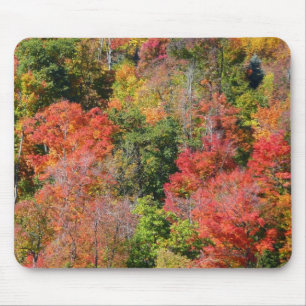 Herbstliche farbenfrohe Naturfotografie am Hang Mousepad