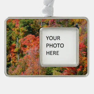 Herbstliche farbenfrohe Naturfotografie am Hang Rahmen-Ornament Silber