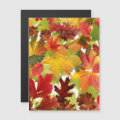 Herbstliche Herbstlaub Magnetkarte (Vorne/Hinten)