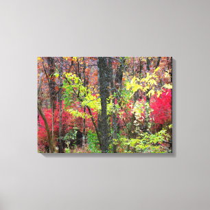 Herbstliche Landschaftsfoto auf Leinwand