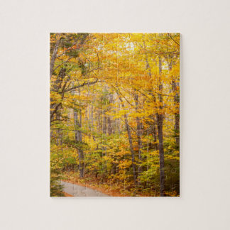 Herbstliche Landstraße Herbst Foto Puzzle