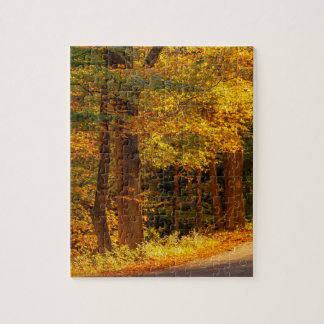 Herbstliche Landstraße Herbstfoto Puzzle